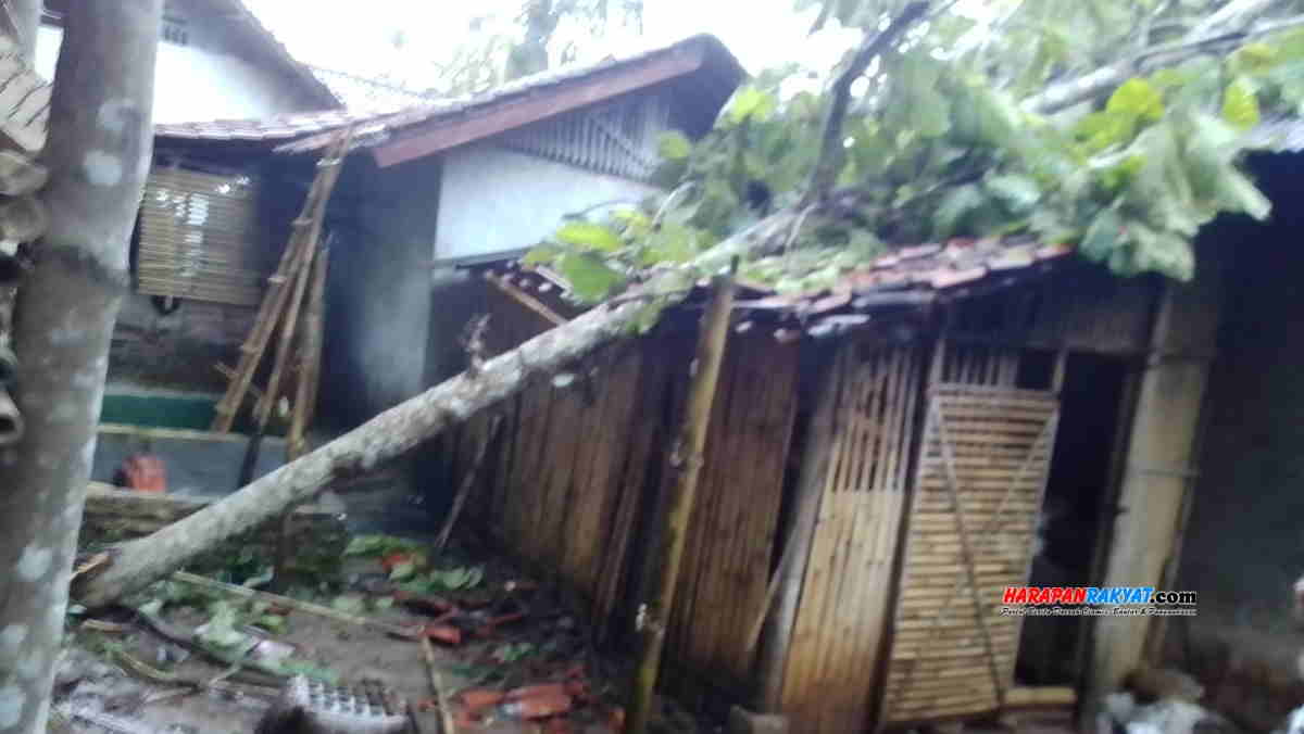 Angin Kencang Di Bangunsari Ciamis Rumah Tertimpa Pohon Harapan Rakyat