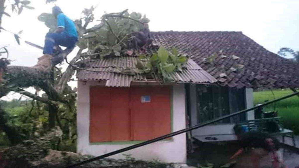 Pohon Tumbang Rusak Rumah Warga Sindangkasih Ciamis