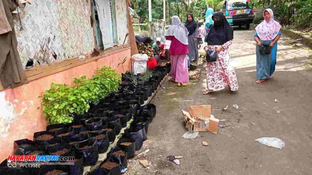 Manfaatkan Lahan Pekarangan Warga Sindangsari Ciamis Tanam Sayur