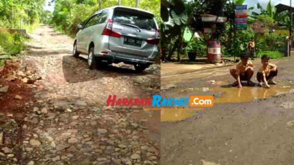 Kondisi Jalan Kabupaten Di Rajadesa Ciamis