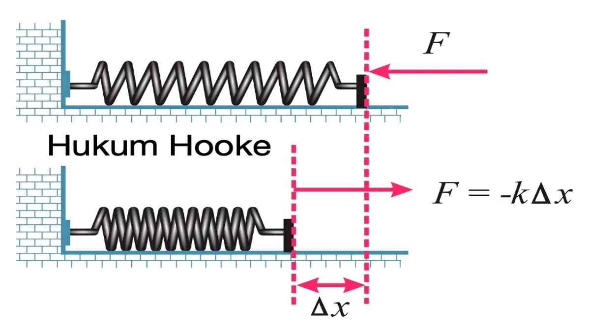 Hukum Hooke Pada Pegas Yang Wajib Kamu Tahu Ini Dia Rumusnya