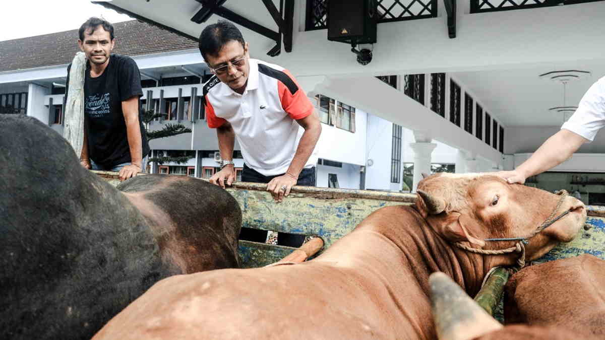 Jelang Idul Adha Pemkab Ciamis Dapat Ekor Sapi Dari Bank Bjb