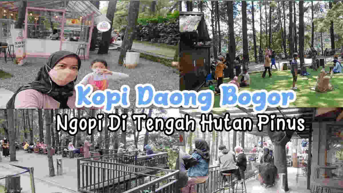 Kopi Daong Bogor Kafe Unik Di Tengah Hutan Pinus