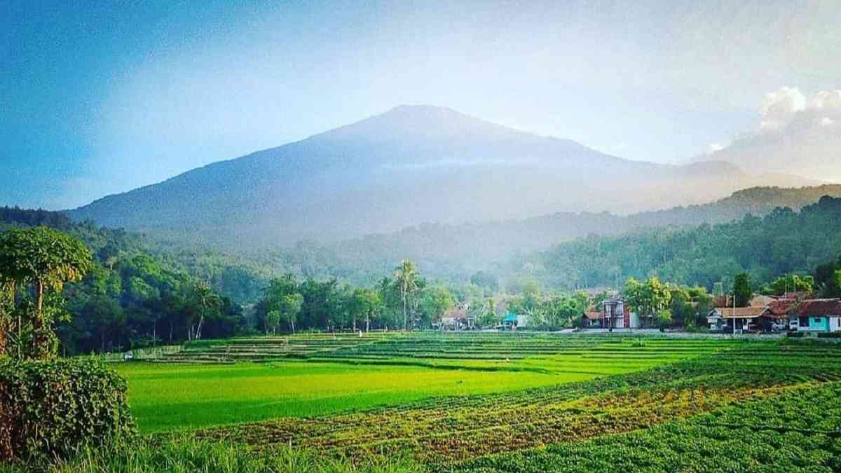 Desa Wisata Cibuntu Destinasi Menarik Di Kuningan