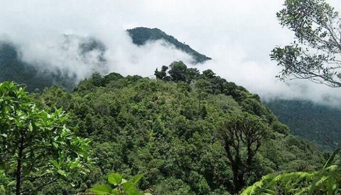 Hasil Kajian Tim ITB, Cisaladah Bukan Kawasan Hutan Produksi