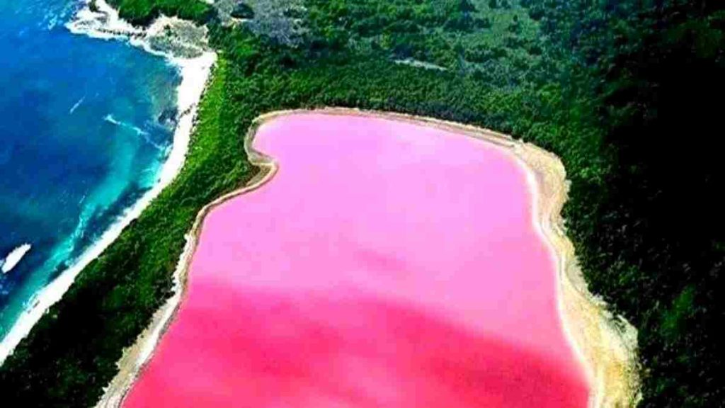 Danau Hillier, Australia Barat. Photo : Net/Ist.