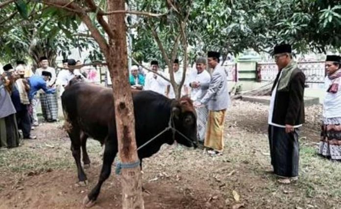 Bupati Ciamis Ajak Masyarakat Maknai Hari Raya Kurban