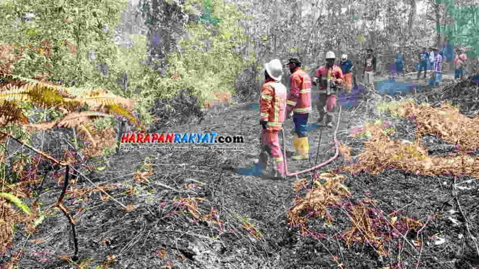 Lahan Milik PTPN di Pangandaran Terbakar