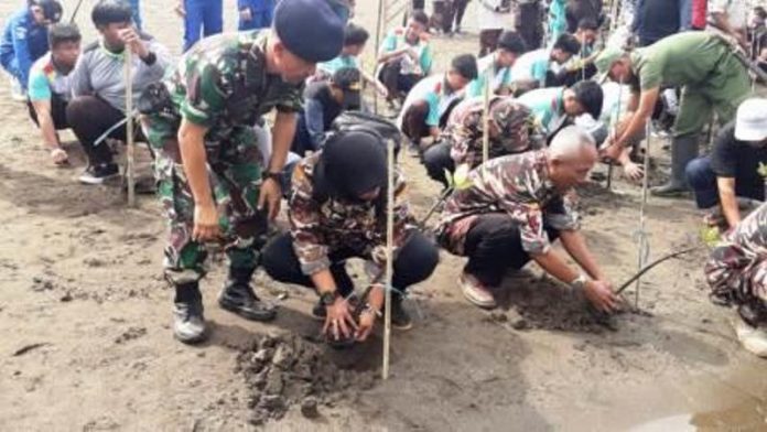 TNI AL Gelar Karya Bhakti Tanam Mangrove di Parigi Pangandaran