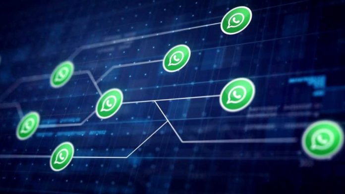 Fitur WhatsApp tersembunyi ini mungkin belum banyak yang diketahui oleh penggunanya.