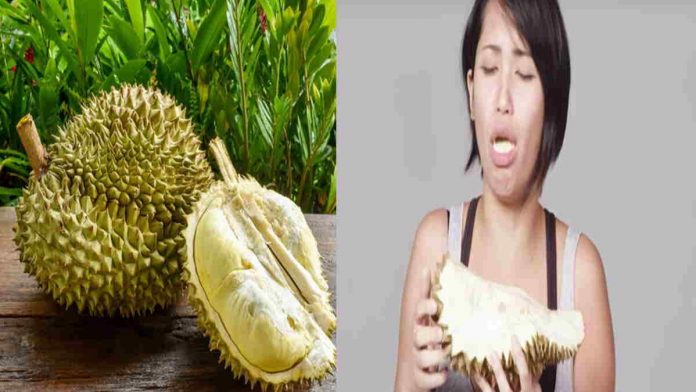 Waspada! Kebanyakan Makan Durian Bisa Picu Penyakit Mematikan