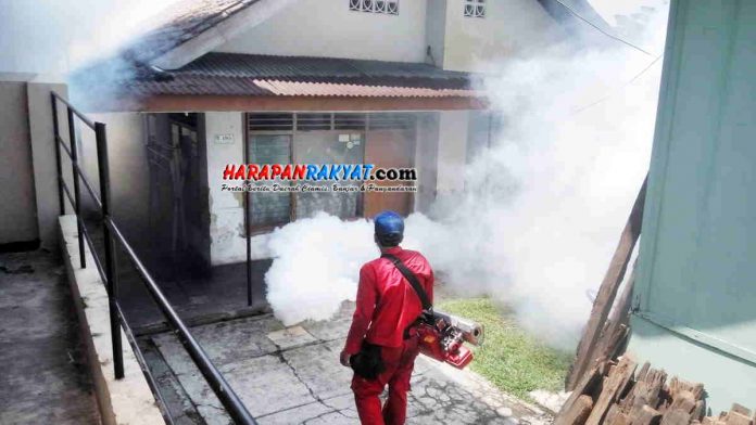 fogging cegah dbd