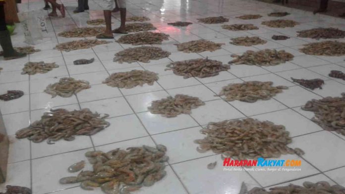 Akibat Corona, Harga Udang di Pangandaran Anjlok