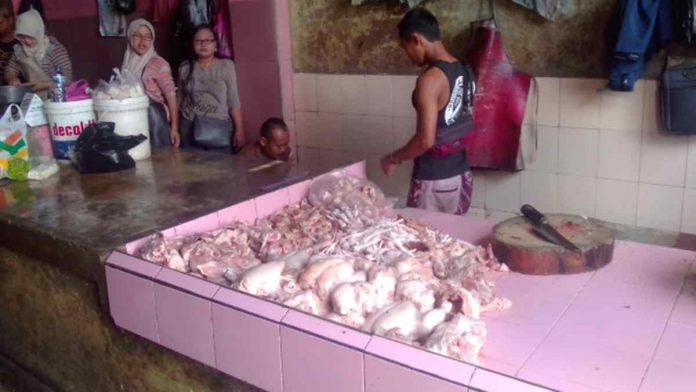 harga daging ayam di Ciamis