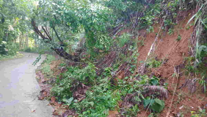 Longsor Tebing di Jalan Raya Cigugur-Langkaplancar Pangandaran Bahayakan Pengendara