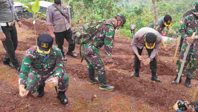 TNI/Polri Sulap Lahan Tidur di Pangandaran Jadi Area Pertanian Jagung