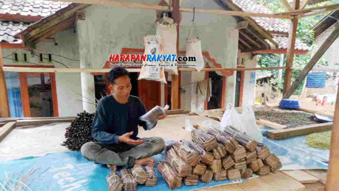 Gula Aren Asli Langkaplancar Pangandaran