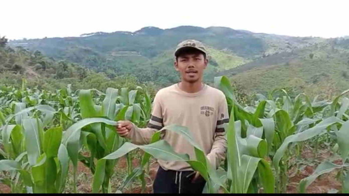 Petani Jagung di Panumbangan Ciamis Minta Bantuan Alat Pemipil