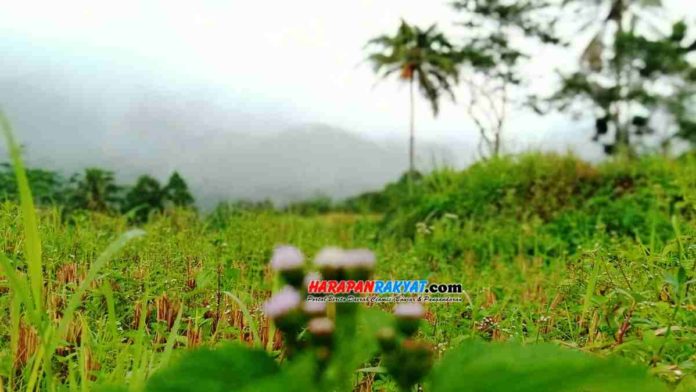 Intensitas hujan tinggi, Camat Langkaplancar, Kabupaten Pangandaran, Jawa Barat, mengimbau warganya untuk meningkatkan kewaspadaan. Foto: Enceng/HR.