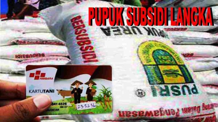 pupuk subsidi di ciamis