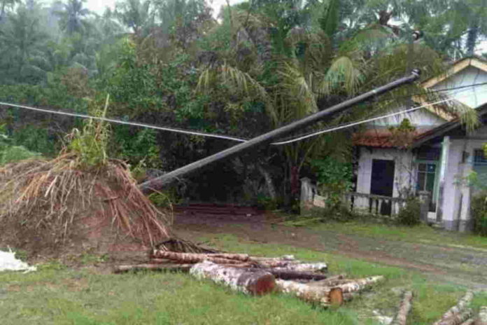 Rumah Warga Banjaranyar Ciamis Tertimpa Tiang Listrik