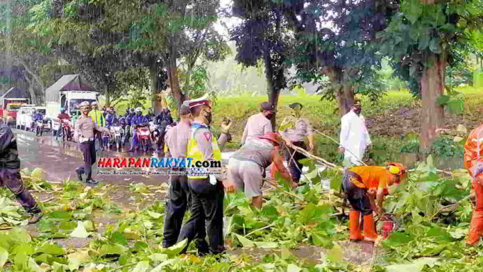 Akses Jalan Nasional di Kota Banjar Macet Akibat Pohon Tumbang