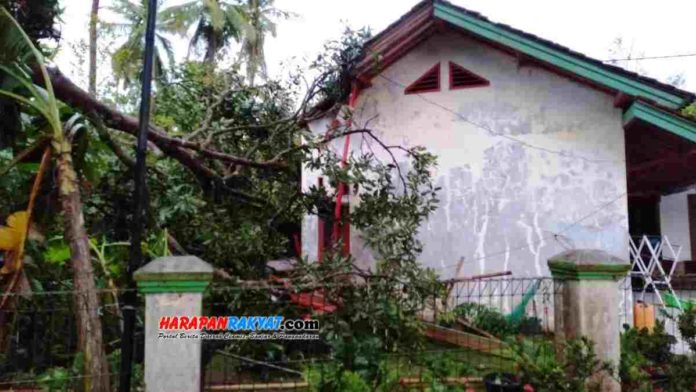 Puluhan rumah tertimpa pohon tumbang saat hujan angin mengguyur wilayah Desa Sukajaya, Kecamatan Pamarican, Kabupaten Ciamis, Jawa Barat, pada Jum’at (13/11/2020) sore tadi. Foto: Suherman/HR.