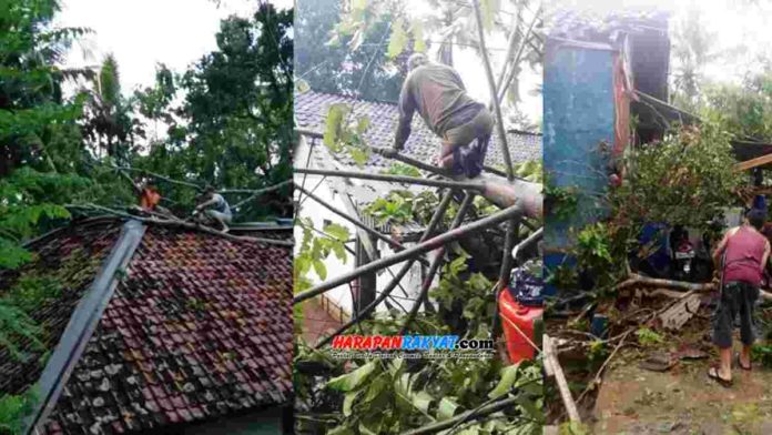 Hujan dan angin kencang, 5 rumah di Cimaragas Ciamis tertimpa pohon. Foto: Ferry Ramdani/HR.