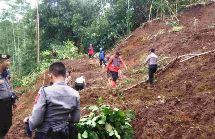 Tebing Setinggi 15 Meter di Cigalontang Tasikmalaya Longsor