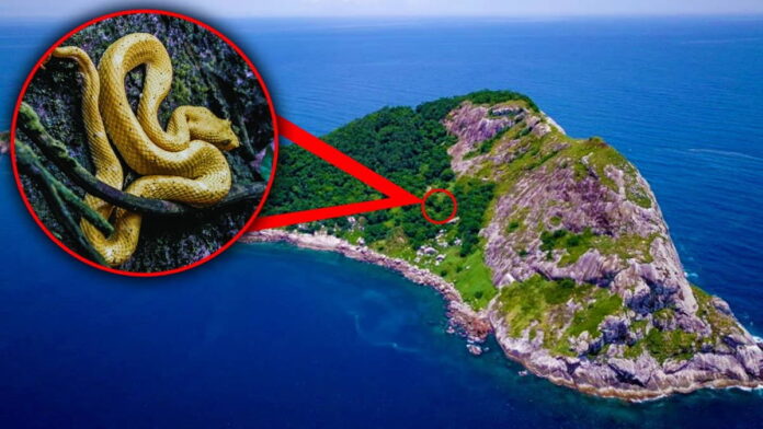 Fakta Unik Pulau Ular