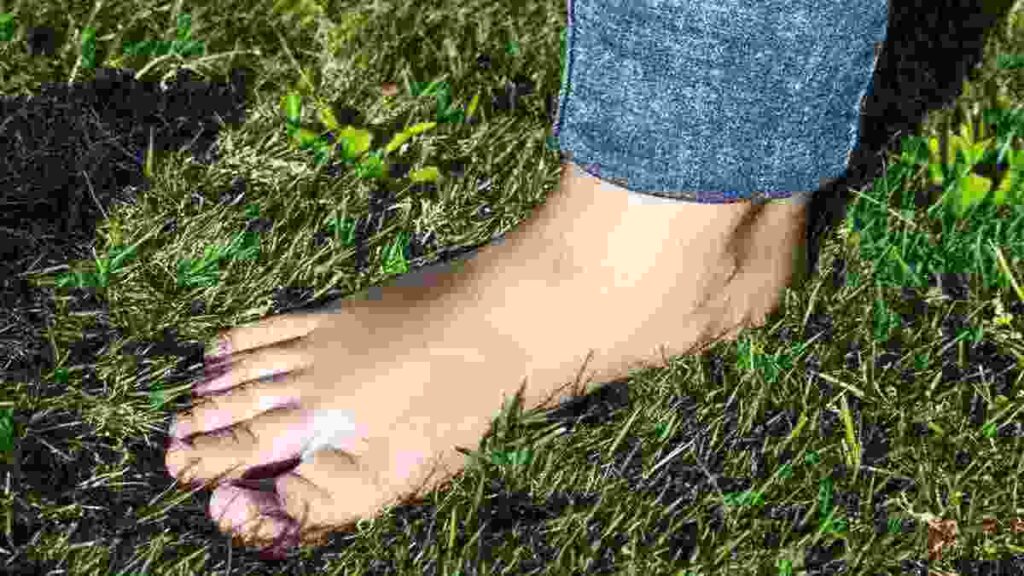 Fungsi Mata Kaki