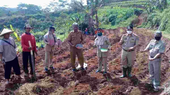 Ketahanan Pangan di Ciamis,