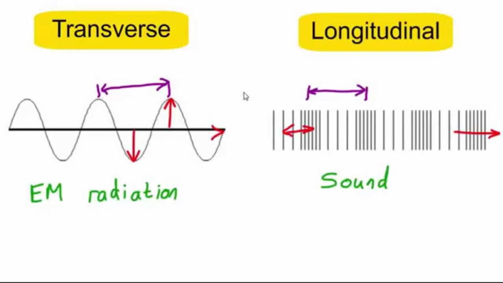 Perbedaan Gelombang Transversal dan Longitudinal