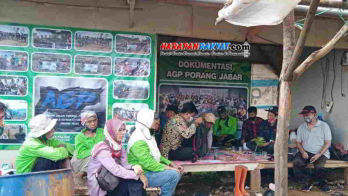 Petani Milenial Pamarican Ciamis Geluti Budidaya Tanaman Porang