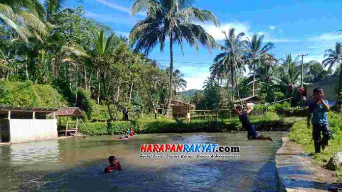 Berenang di Kolam Ikan