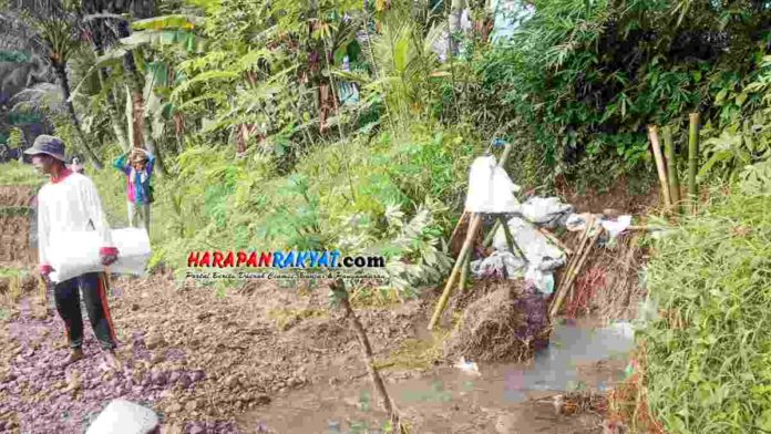 Tanggul Saluran Irigasi Jebol Ancam Persawahan di Pamarican Ciamis