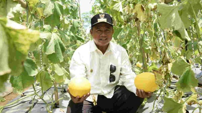 Wagub Jabar Dorong Ponpes Tumbuhkan Kemandirian Ekonomi