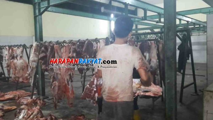 permintaan daging sapi di tasikmalaya