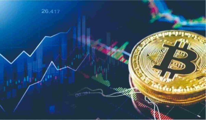 Bitcoin Turun 50 Persen; Cara mencegah Kerugian