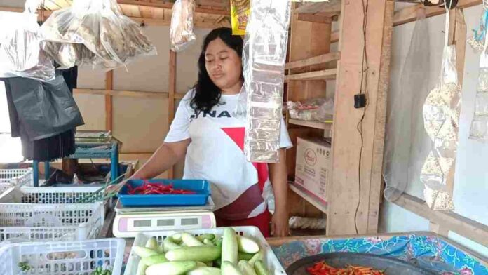 Harga Kebutuhan Pokok di Pangandaran naik