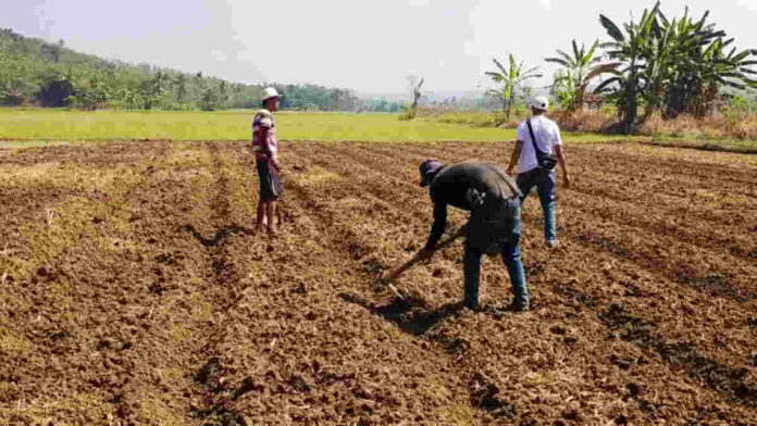 Lahan Kering