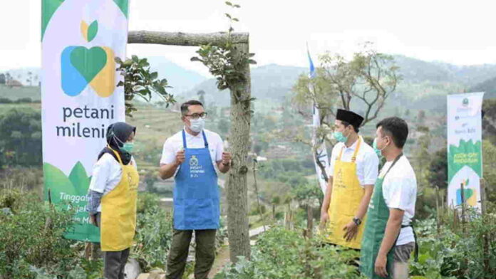 Program Urban Farming di Jabar Sasar 1.000 Masjid