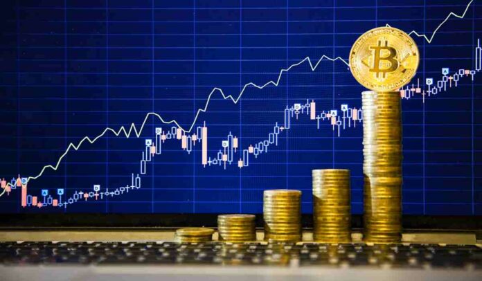 Trading Bitcoin Buat Pendatang Baru