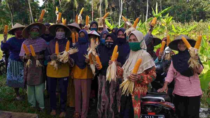 Gapoktan Gereba CIamis