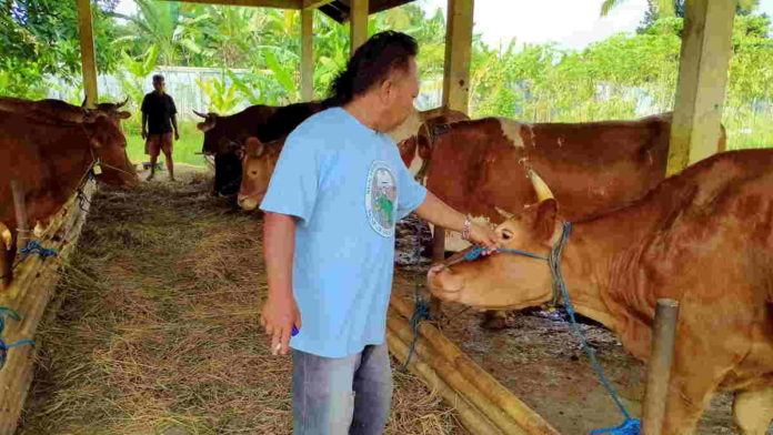 Permintaan Sapi Kurban di Pasar Hewan Kota Banjar Masih Sepi