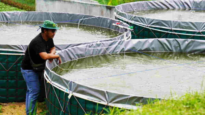 Petani Milenial di Jabar Ikuti Pelatihan Budidaya Ikan