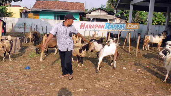 Pasar Hewan Banjarsari Ciamis Sepi Pembeli