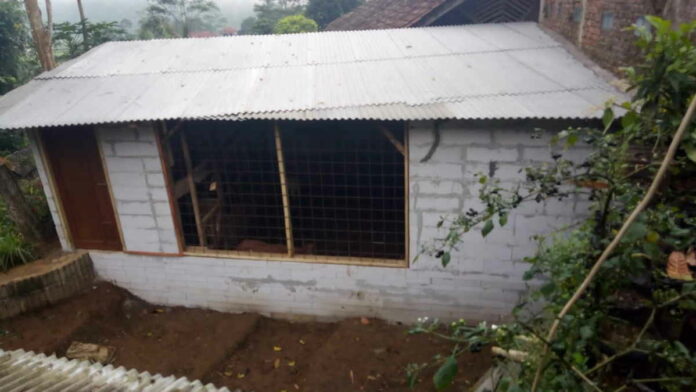 Warga Ciamis Bikin Kandang Kambing Mirip Rumah Hunian