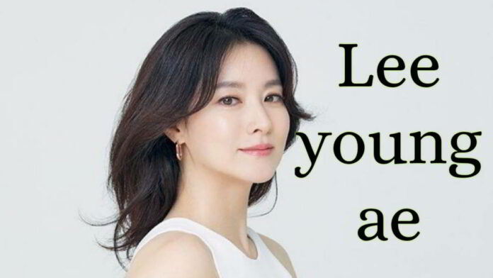 Drama Korea Inspector Koo Ajang Comeback Lee Young Ae, Ini Faktanya