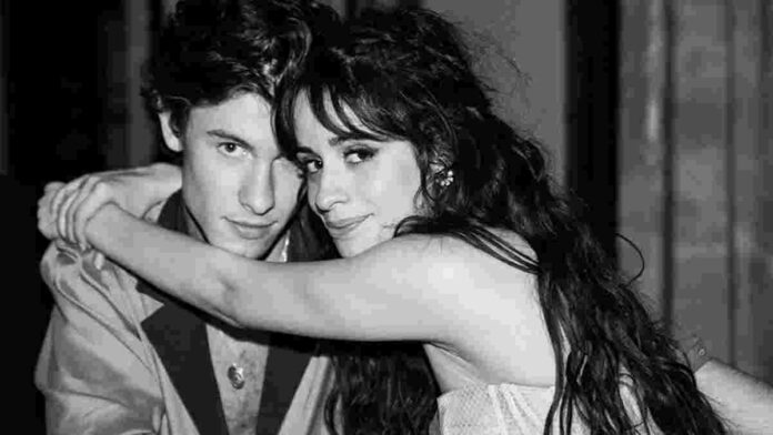 Camila Cabello dan Shawn Mendes Putus, Resmi Konfirmasi Pribadi